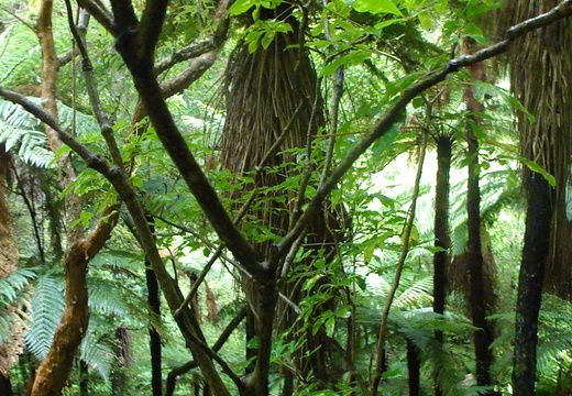 DSC00329